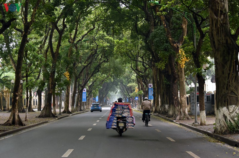 nguoi ngheo vat va muu sinh trong dai dich covid-19 hinh 9