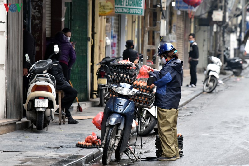 nguoi ngheo vat va muu sinh trong dai dich covid-19 hinh 11