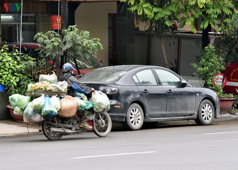 nguoi ngheo vat va muu sinh trong dai dich covid-19 hinh 16