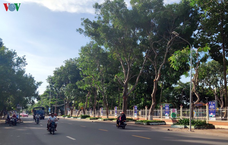 anh: lhpt toan quoc lan thu xiv truoc gio khai mac hinh 4