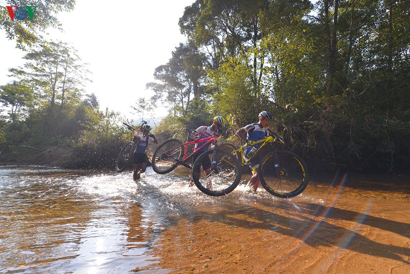 giai sieu marathon quoc te dalat ultra trail 2020 tro lai voi rung thong dai ngan hinh 4