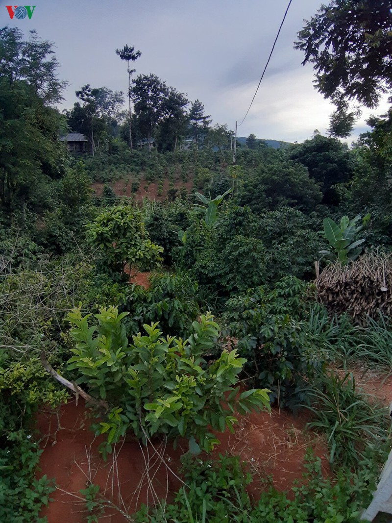 da bat duoc nghi pham giet nguoi bo tron o son la hinh 3