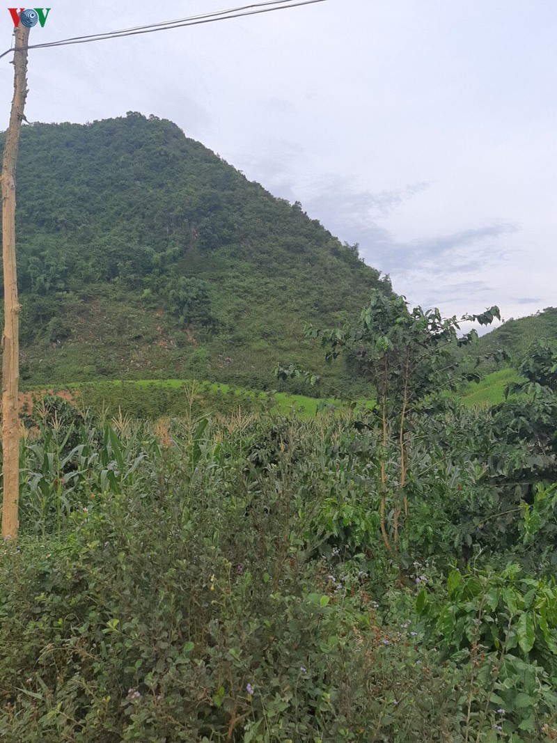 da bat duoc nghi pham giet nguoi bo tron o son la hinh 4