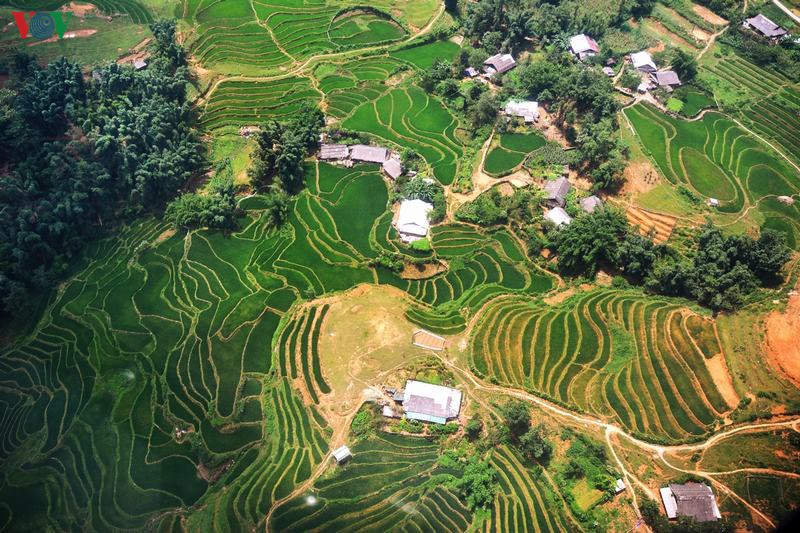 toi sapa mua thu, du khach dung bo lo nhung dieu nay hinh 6