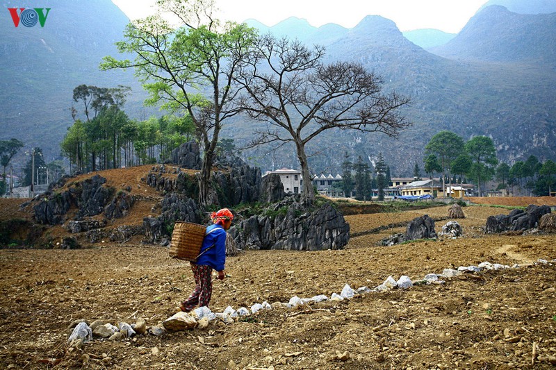 cao nguyen da dong van: danh thang hoang so va hung vi hinh 5