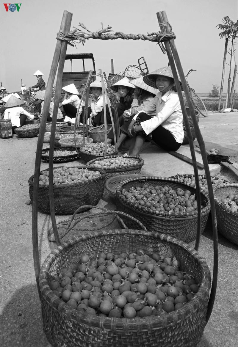 cho que dong bang bac bo dep binh di, than thuong hinh 3
