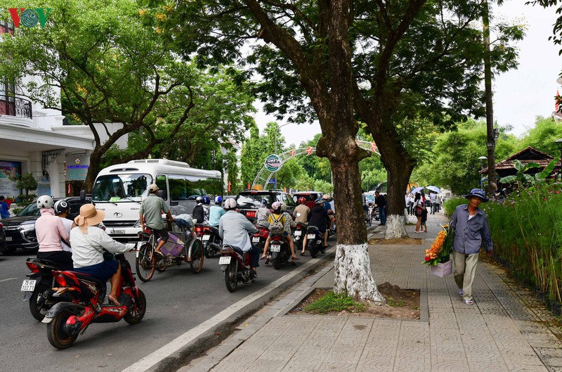 dao bo song huong, ngam san vat ca nuoc hinh 13