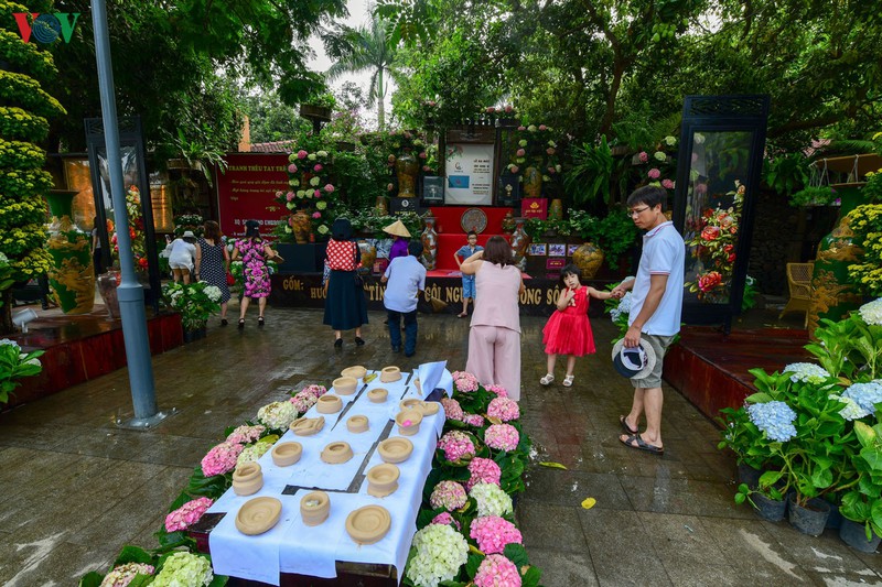 dao bo song huong, ngam san vat ca nuoc hinh 1
