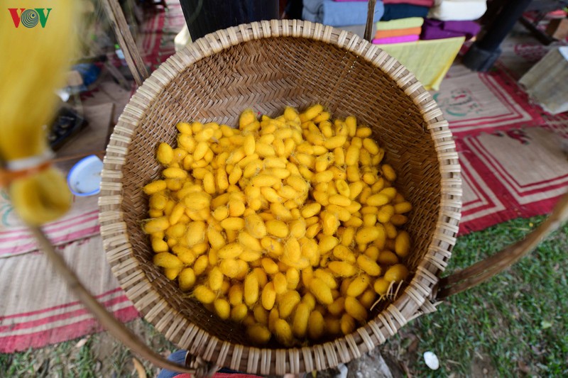 dao bo song huong, ngam san vat ca nuoc hinh 8