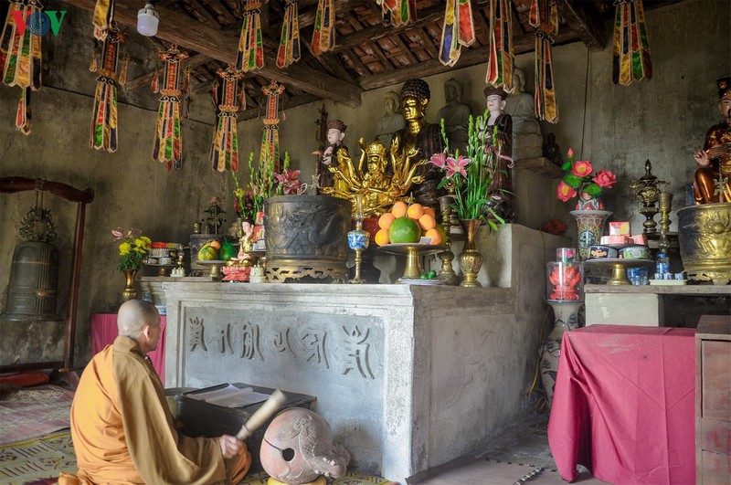 ve voi ngoa van- noi canh tien coi phat hinh 9