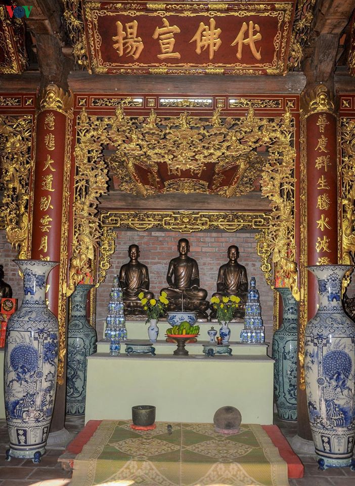 ve voi ngoa van- noi canh tien coi phat hinh 5