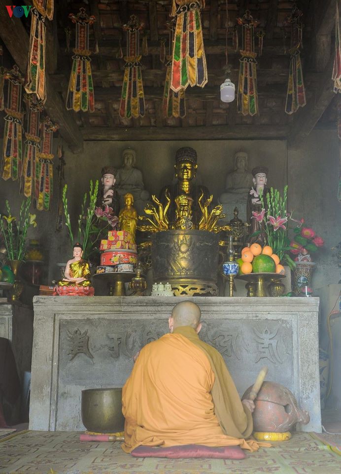 ve voi ngoa van- noi canh tien coi phat hinh 8