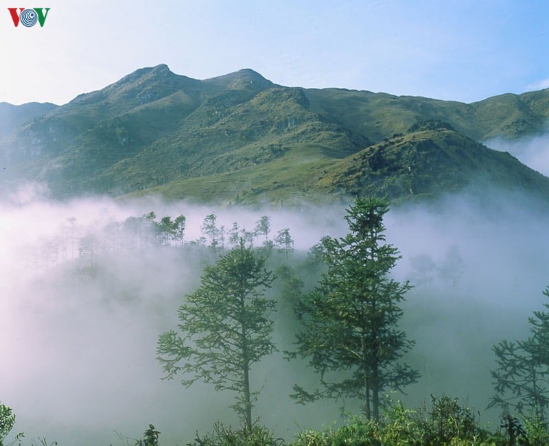 ve voi ngoa van- noi canh tien coi phat hinh 2