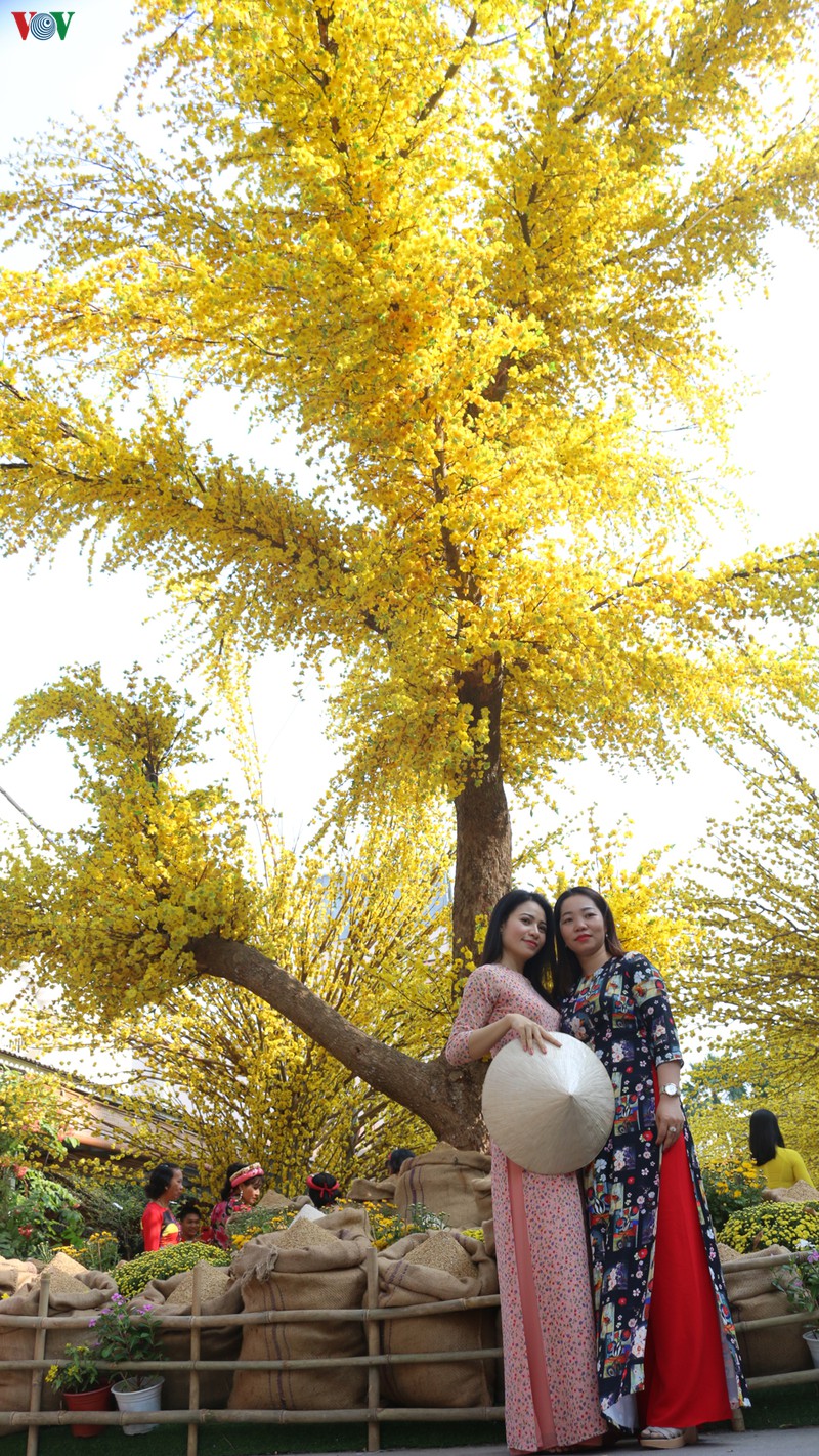 nhieu nguoi thich thu voi duong mai vang o tphcm hinh 2