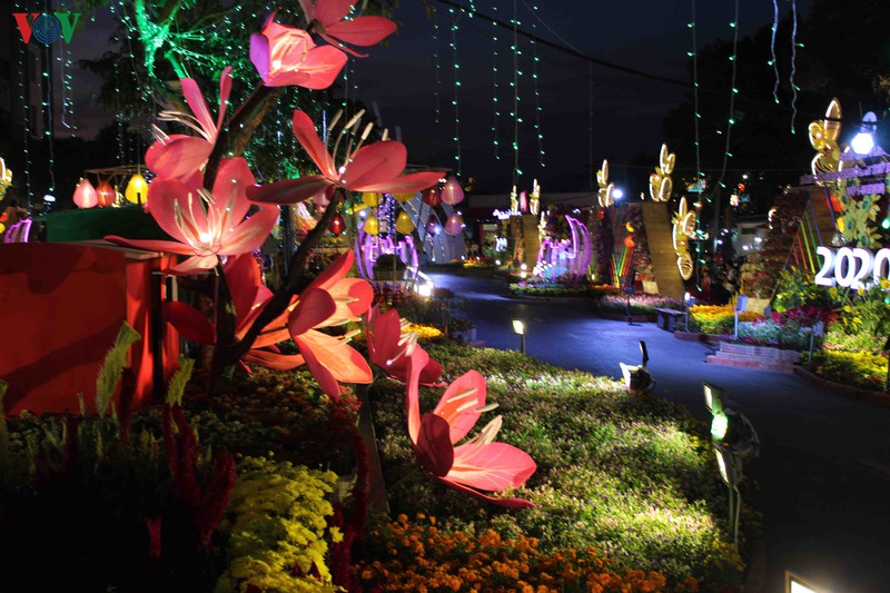 lung linh duong hoa va duong den nghe thuat can tho hinh 12