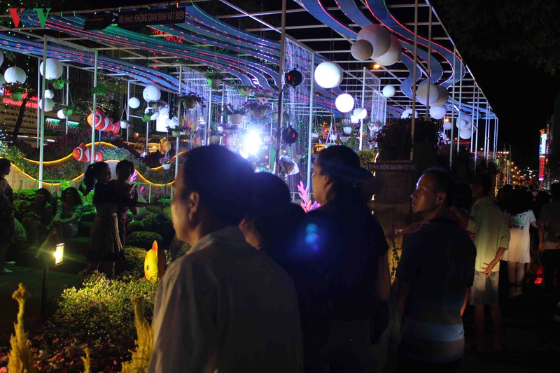 lung linh duong hoa va duong den nghe thuat can tho hinh 14