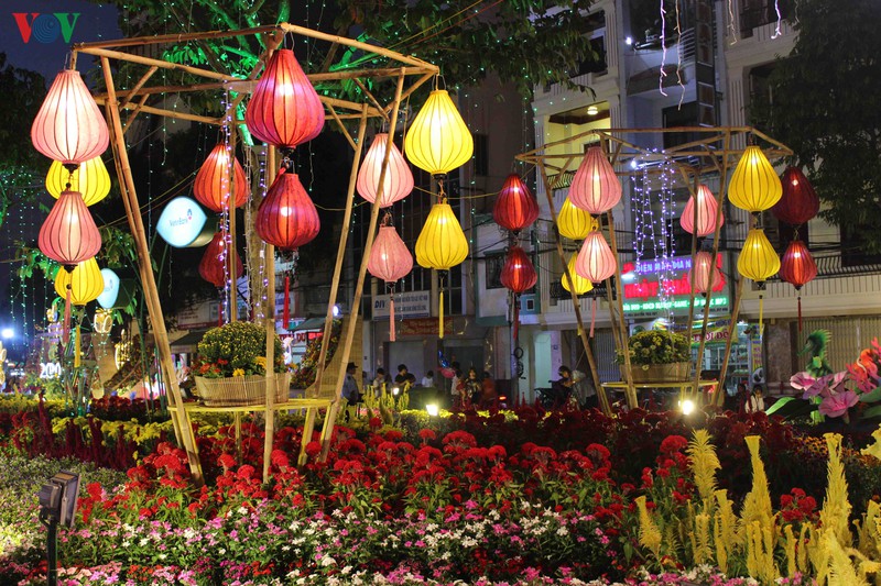 lung linh duong hoa va duong den nghe thuat can tho hinh 18
