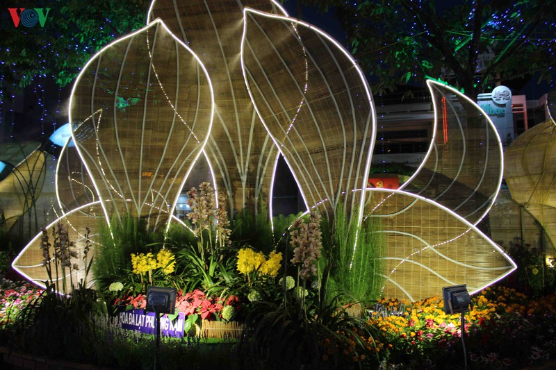 lung linh duong hoa va duong den nghe thuat can tho hinh 19