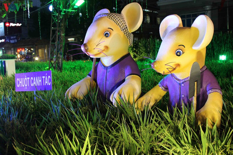 lung linh duong hoa va duong den nghe thuat can tho hinh 5