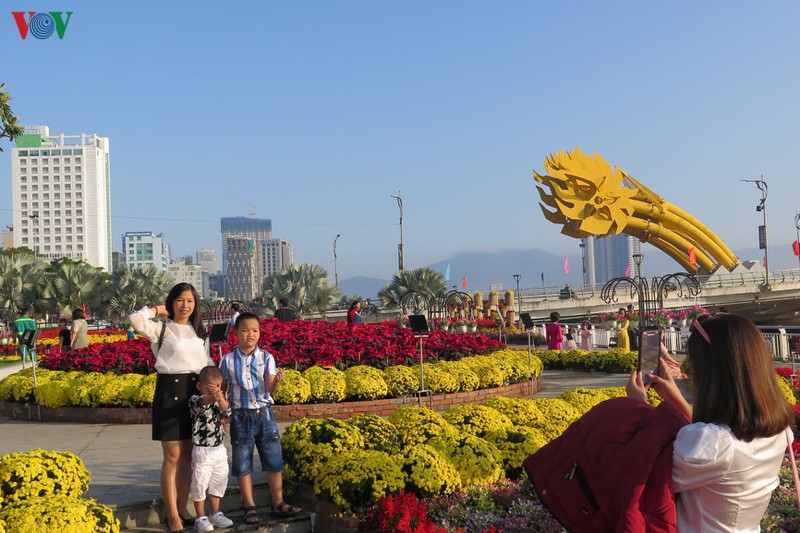 duong hoa xuan da nang tap nap khach du xuan som hinh 6