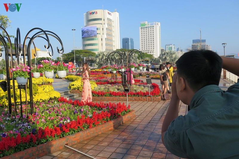 duong hoa xuan da nang tap nap khach du xuan som hinh 8