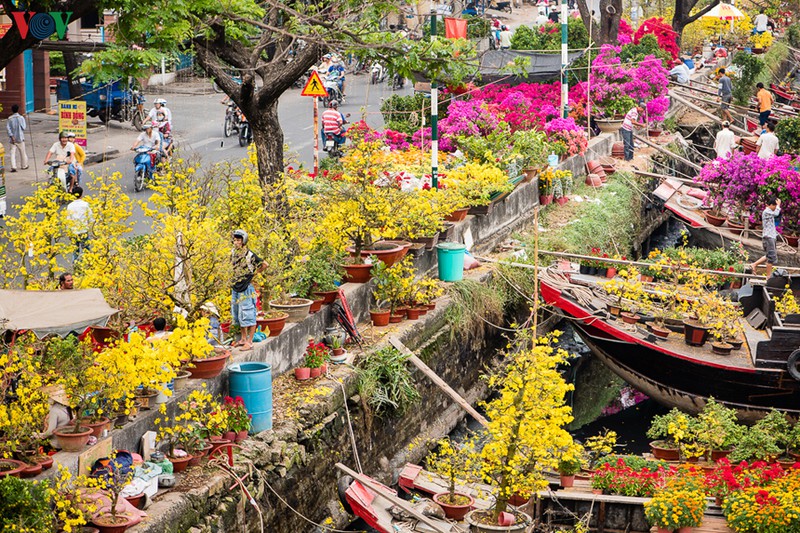 ben cu binh dong hinh 18