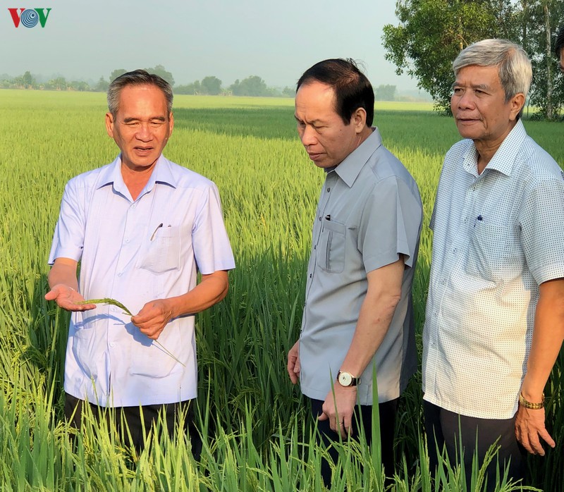 hau giang chu dong trien khai cac bien phap ung pho voi han, man hinh 1