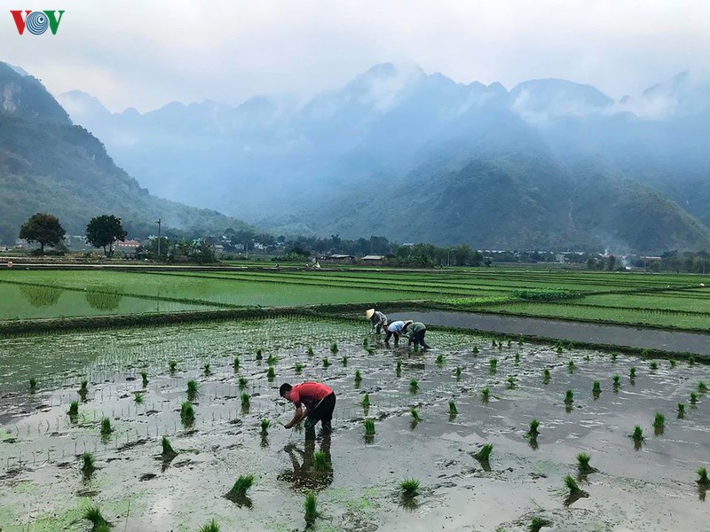 khach tay thich thu tan huong ve dep hoang so, thanh binh cua mai chau hinh 4