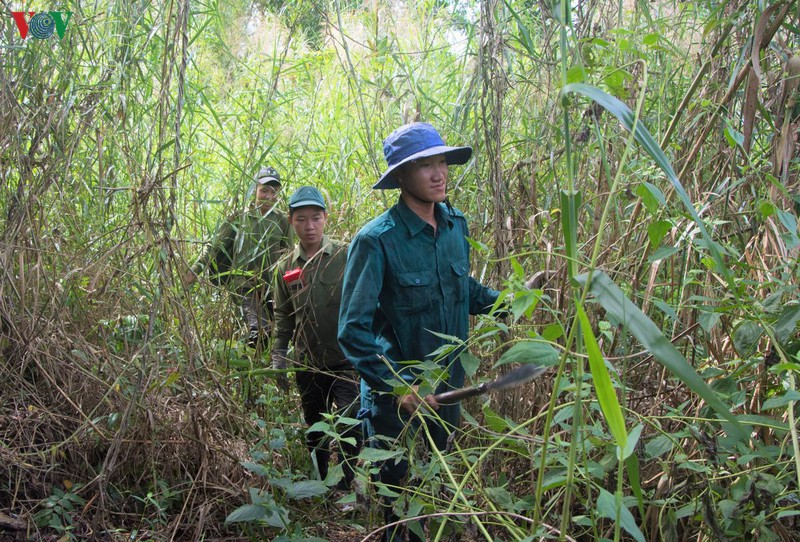 ca mau: hon 3.000 ha rung o muc du bao chay cap cuc ky nguy hiem hinh 1