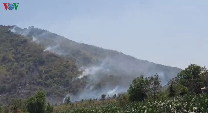 dang chay rung tren dinh nui ta cu, binh thuan hinh 1