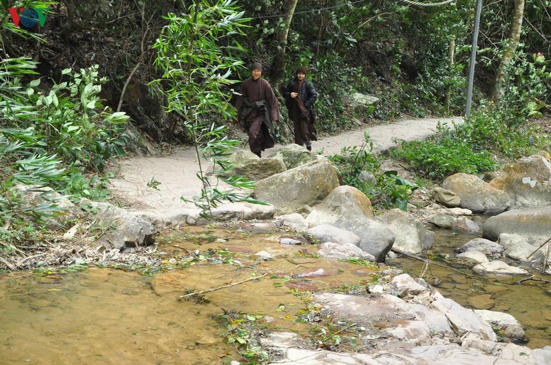 ve voi ngoa van- noi canh tien coi phat hinh 11