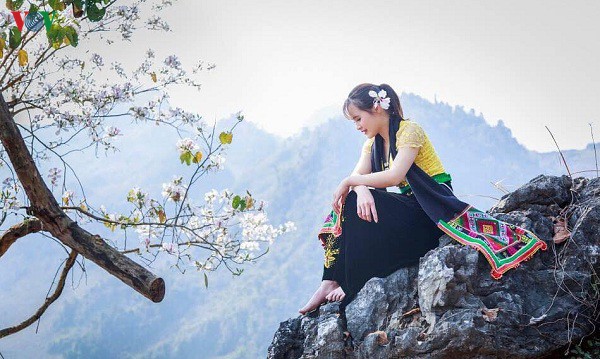 hoa ban khoe sac trang tinh khoi giua troi tay bac hinh 8