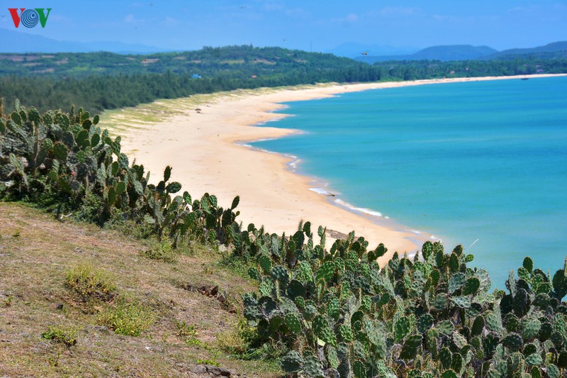 vi vu o nhung diem den an toan, hap dan cua du lich viet nam hinh 7