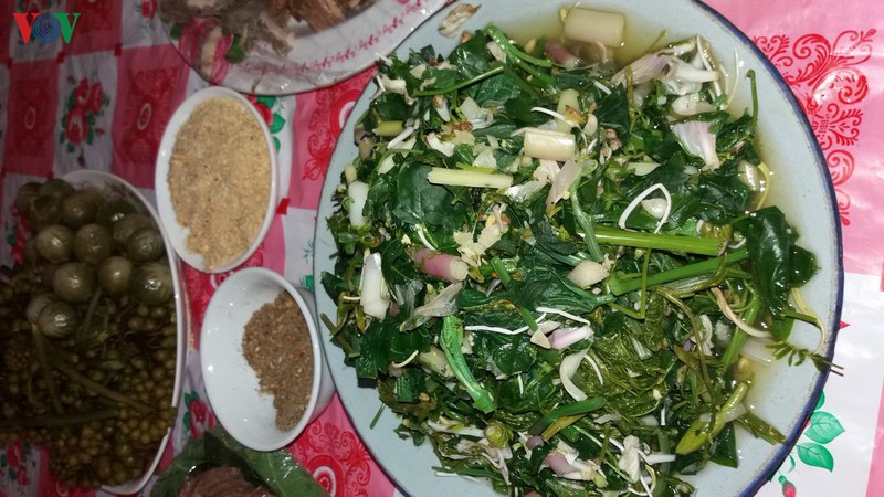 hoa ban - hoa cua nui rung tay bac hinh 3