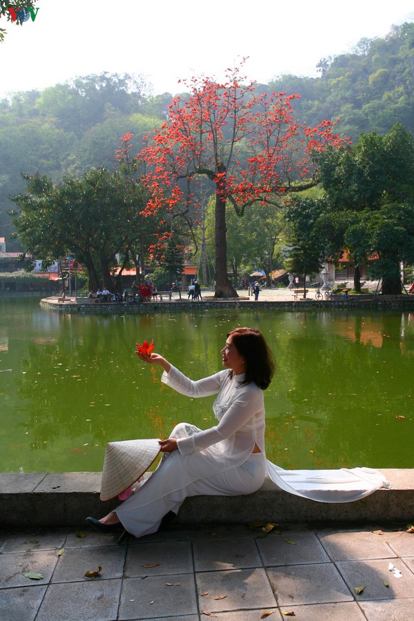 chua thay dep nao long mua hoa gao thang 3 hinh 2