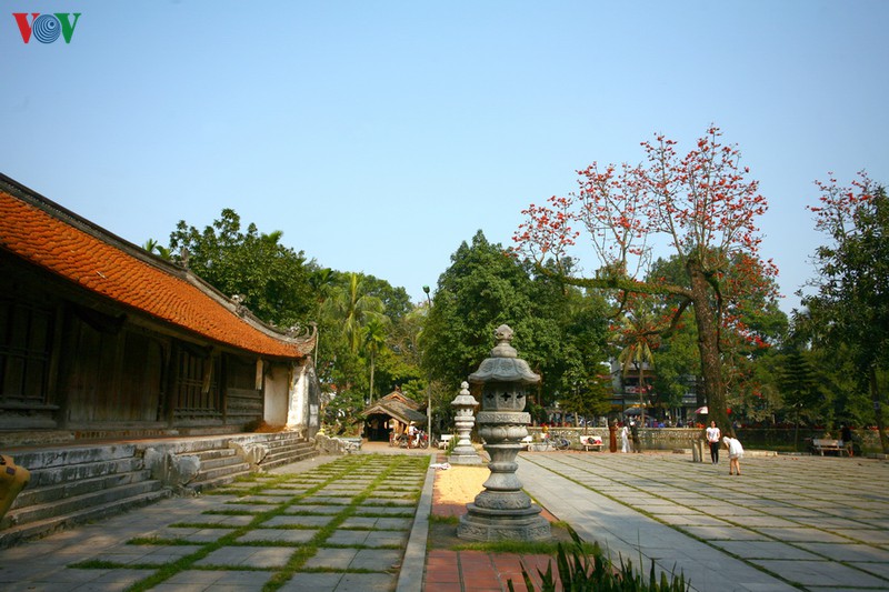 chua thay dep nao long mua hoa gao thang 3 hinh 4