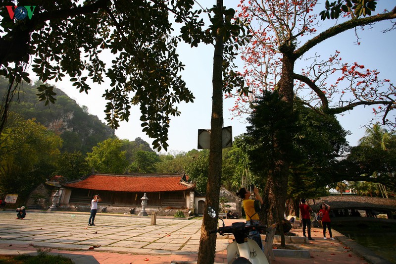 chua thay dep nao long mua hoa gao thang 3 hinh 5