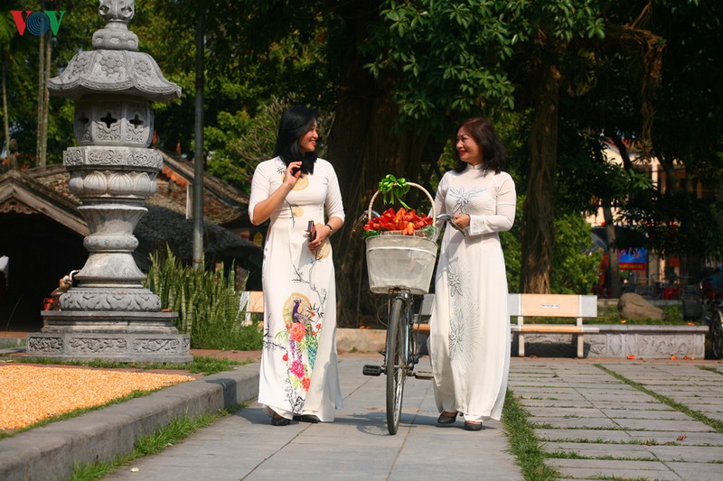 chua thay dep nao long mua hoa gao thang 3 hinh 14