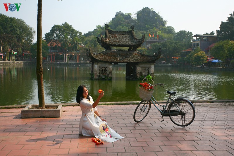 chua thay dep nao long mua hoa gao thang 3 hinh 15