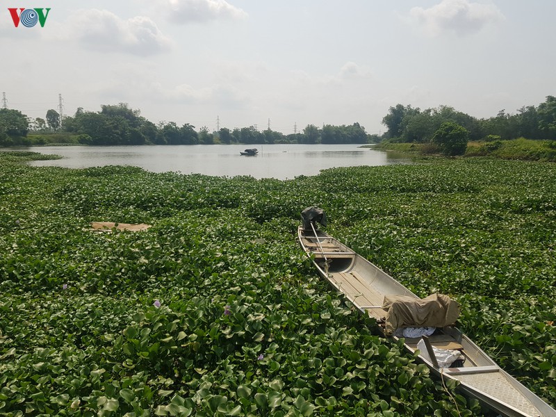 quang nam doi mat voi han han va xam nhap man hinh 3