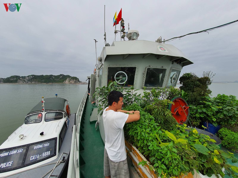 "ngoi nha" tren bien nhung ngay phong chong dich cua canh sat duong thuy hinh 8