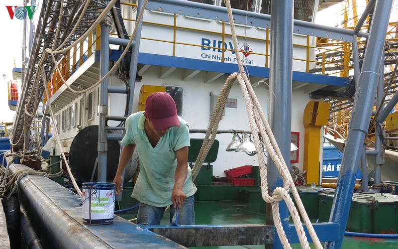 dieu tra cac vu tau ca chim bat thuong tren bien o binh dinh hinh 1