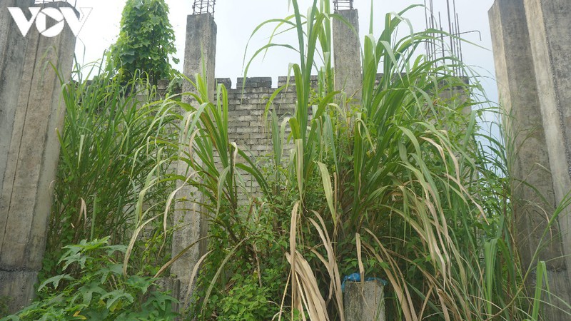 muc so thi noi an nau cua 21 doi tuong truy na trung quoc o lao cai hinh 7