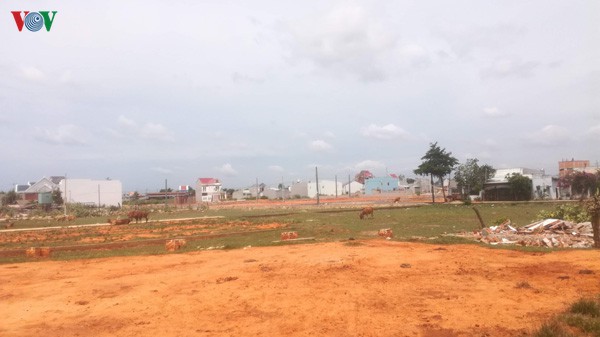 de nghi truy to 6 bi can trong vu sai pham dat dai tai binh thuan hinh 2