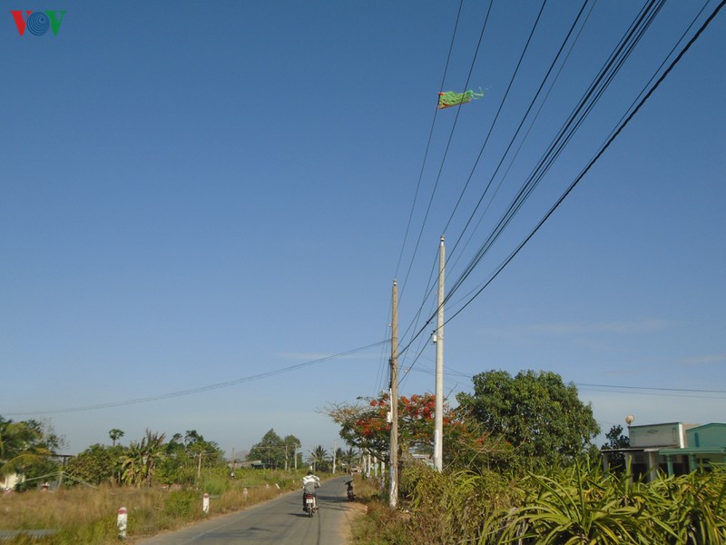 hiem hoa tu nhung canh dieu hinh 3