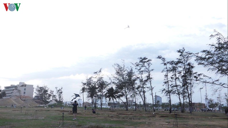 hiem hoa tu nhung canh dieu hinh 2