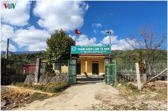 linh an tu vi cuop tang vat, tan cong kiem lam sau pha rung tai sa pa hinh 2