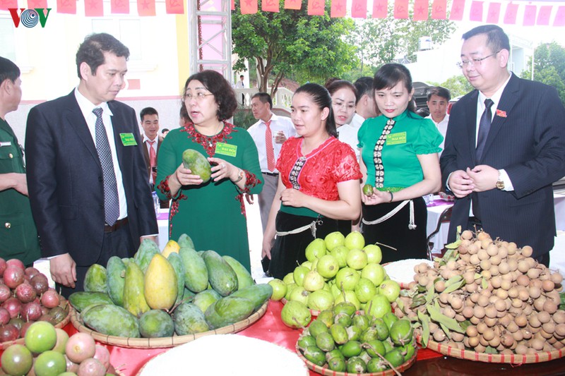 ong tong the anh trung cu bi thu huyen uy yen chau, son la hinh 4