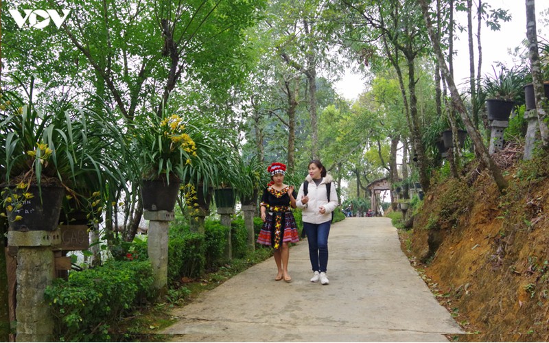 sau "bao" ma tuy, ban nguoi mong thanh noi trong dia lan va lam du lich hinh 2