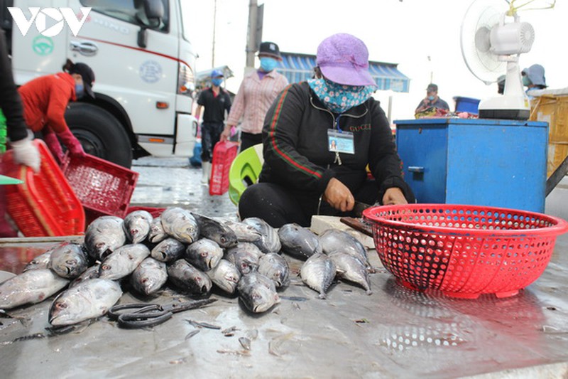 cho dau moi thuy san da nang tam thoi khong cho nguoi dan vao cho mua hang le hinh 4